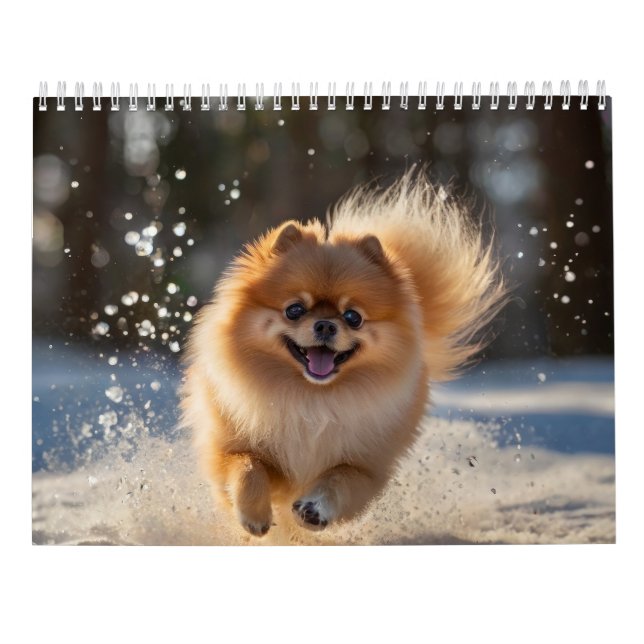 Pomeranian Calendar 2025 (Back)