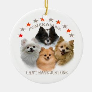 Pomeranian Can't Have Just One ornament
