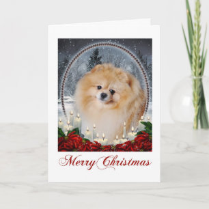 Pomeranian Christmas Card