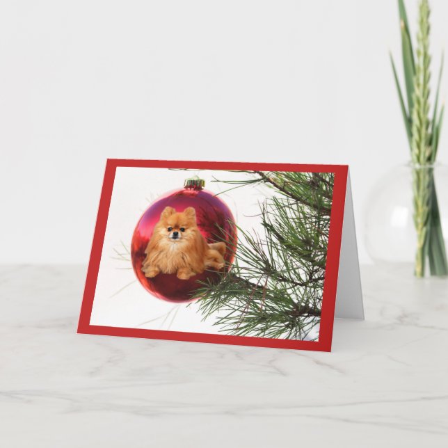 Pomeranian  Christmas Card Red Ball (Front)