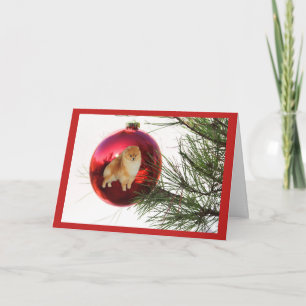Pomeranian  Christmas Card Red Ball