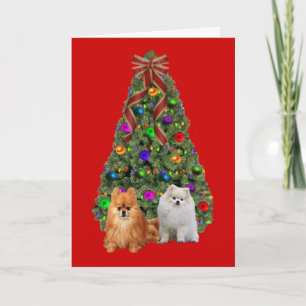 Pomeranian  Christmas Card Tree