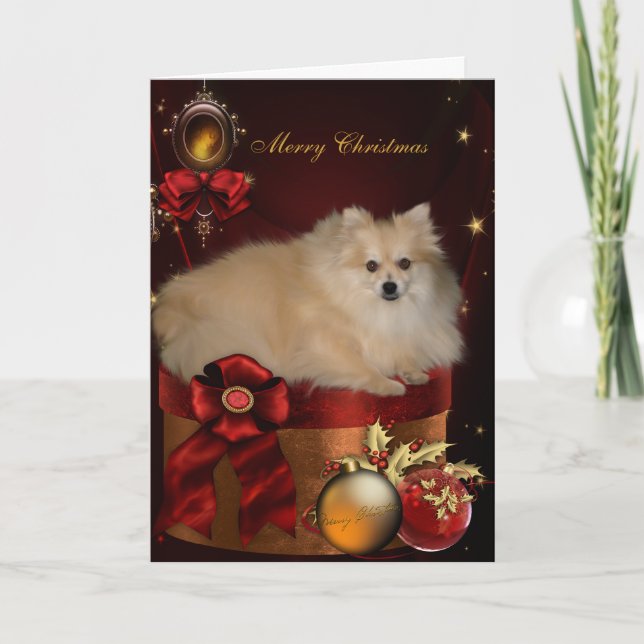 Pomeranian Christmas Holiday Card (Front)