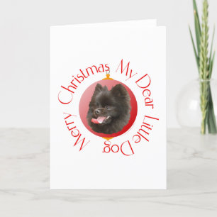 Pomeranian Christmas Holiday Card
