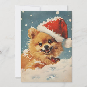 Pomeranian Christmas Holiday Card