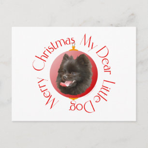 Pomeranian Christmas Holiday Postcard