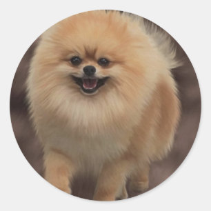 Pomeranian Classic Round Sticker