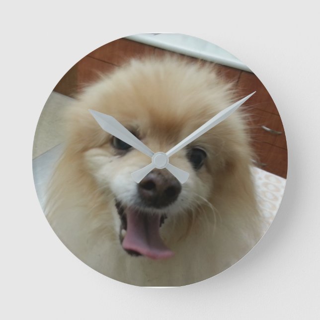 Pomeranian clock (Front)