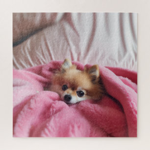 Pomeranian Companion Pink Jigsaw Puzzle