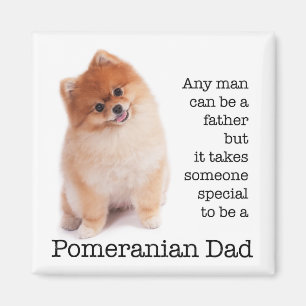 Pomeranian Dad Magnet