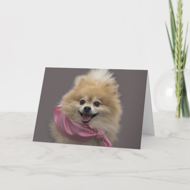 Pomeranian Dog Birthday Card by Focus for a Cause (Front)