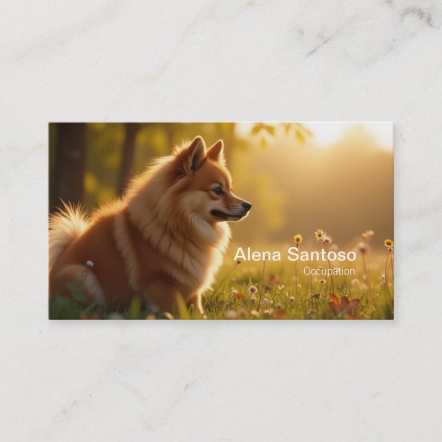 Pomeranian Dog Business Card (Front)