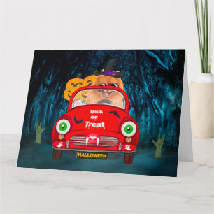 Pomeranian Dog Driving Car Scary Halloween Card