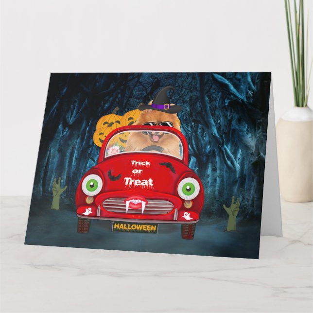 Pomeranian Dog Driving Car Scary Halloween Card (Front)