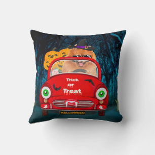 Pomeranian Dog Driving Car Scary Halloween  Cushion