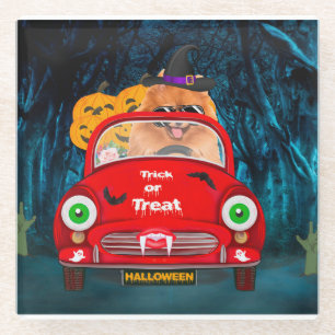 Pomeranian Dog Driving Car Scary Halloween Glass Coaster