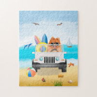 pomeranian Dog Driving on Beach