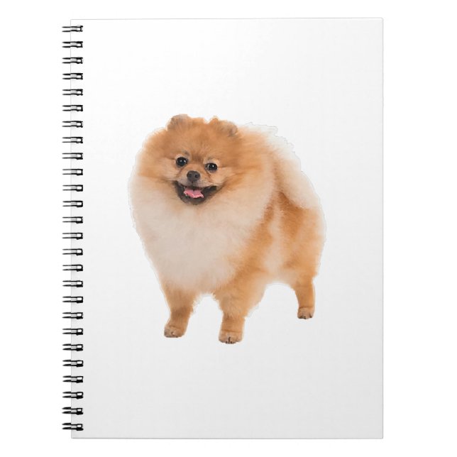 Pomeranian Dog Gift Notebook (Front)