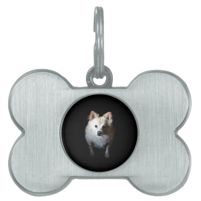 Pomeranian Dog in Dark Pet Tag (Front)