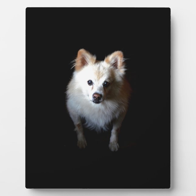 Pomeranian Dog in Dark Plaque (Front)