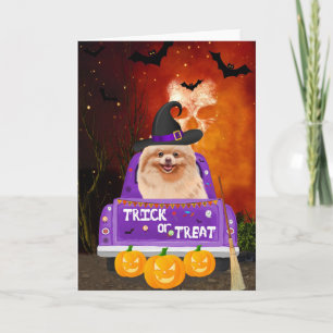Pomeranian Dog in Halloween Truck Card
