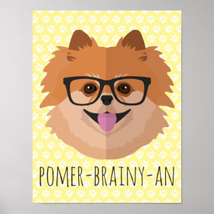Pomeranian Dog In Nerd Glasses   POMER-BRAINY-AN Poster
