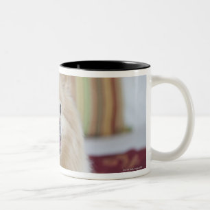 Pomeranian dog in pet friendly hotel room Two-Tone coffee mug