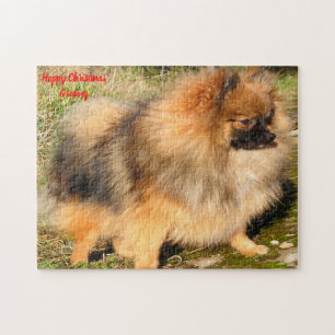 Pomeranian Dog. Jigsaw Puzzle