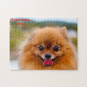 Pomeranian Dog. Jigsaw Puzzle