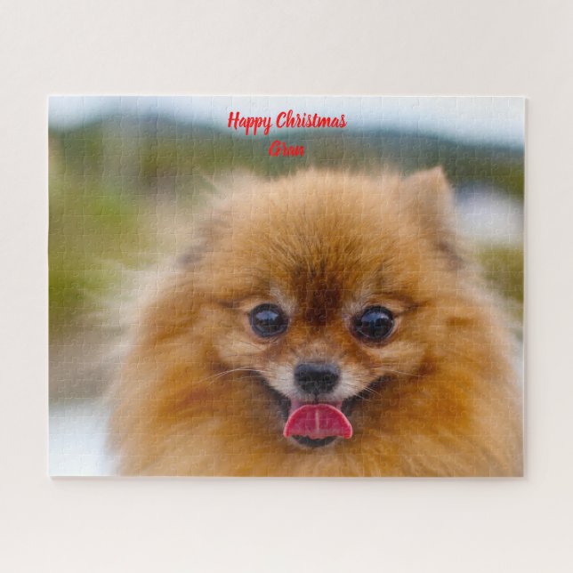 Pomeranian Dog. Jigsaw Puzzle (Horizontal)