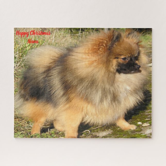 Pomeranian Dog. Jigsaw Puzzle (Horizontal)