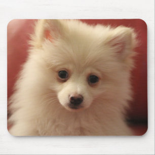 Pomeranian Dog Mouse Pad