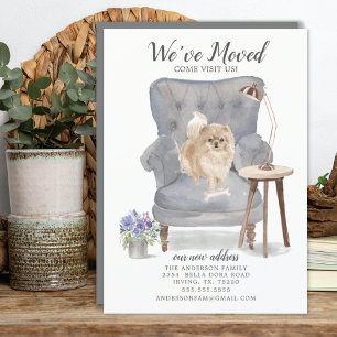 Pomeranian Dog   Moving Announcement