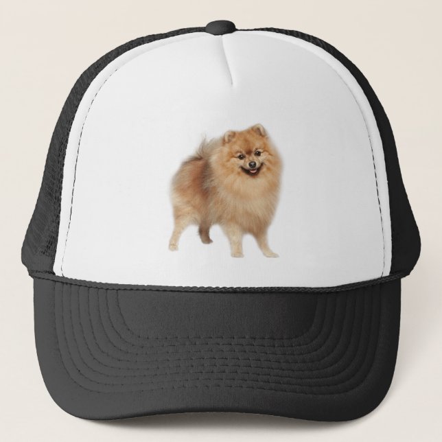 Pomeranian Dog Pet Animal Custom Trucker Hat (Front)