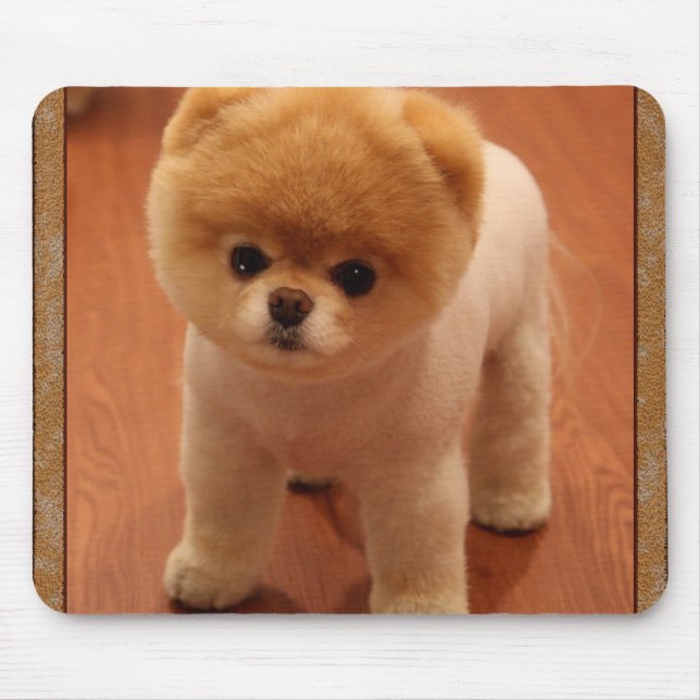 Pomeranian Dog Pet Puppy Small Adorable baby Mouse Pad (Front)