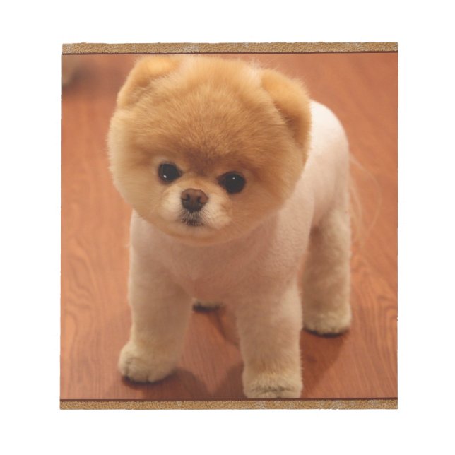 Pomeranian Dog Pet Puppy Small Adorable baby Notepad (Front)
