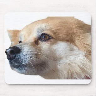 Pomeranian Dog Puppy Pommy Pommie Pet Mouse Pad