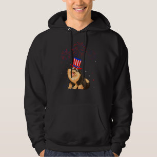 Pomeranian Dog Red White Blue Fireworks Decor 4th Hoodie