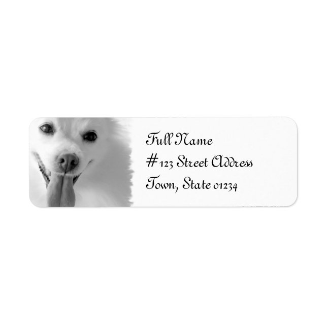 Pomeranian Dog Return Address Mailing Label (Front)