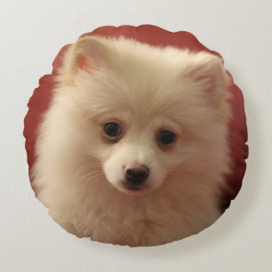 Pomeranian Dog Round Cushion