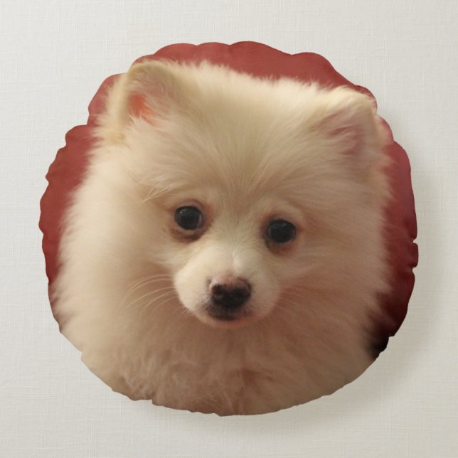 Pomeranian Dog Round Cushion (Front)