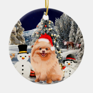 Pomeranian Dog Sitting In Snow Santa Hat Lights Ceramic Ornament