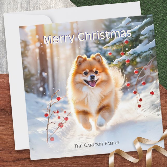 Pomeranian Dog Snow Picture Merry Christmas Holiday Card (A pretty, personalized Christmas card, with a picture of a cute Pomeranian dog in snow)