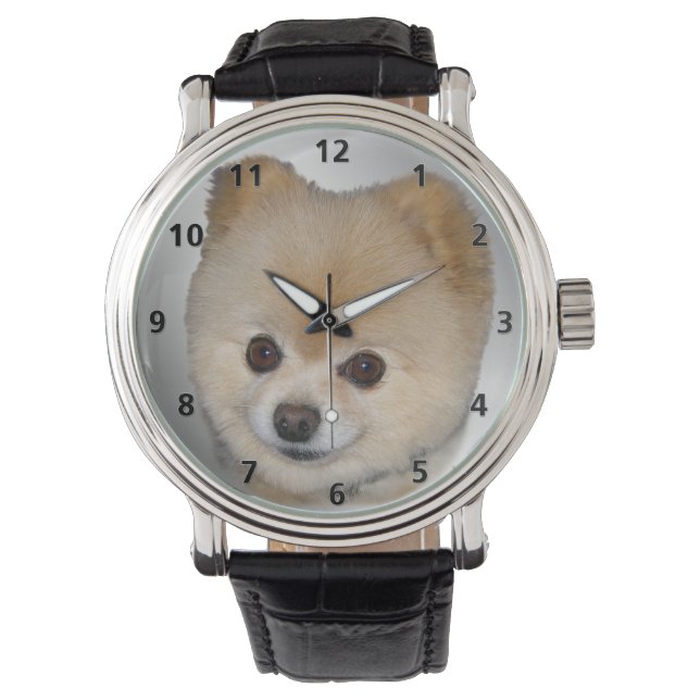 Pomeranian Dog Watch (Front)