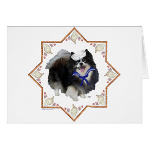 Pomeranian Dog with Seashells