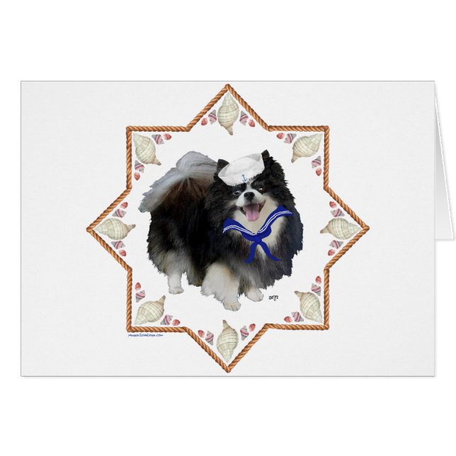 Pomeranian Dog with Seashells (Front Horizontal)