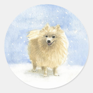 Pomeranian Eskie in the Snow Classic Round Sticker