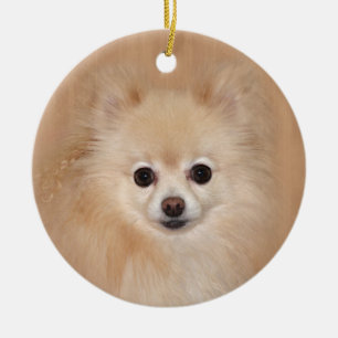 Pomeranian face ceramic tree decoration