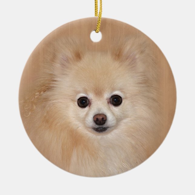 Pomeranian face ceramic tree decoration (Front)