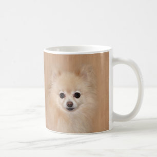 Pomeranian face coffee mug